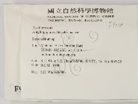 齒耳菌屬藏品圖，第2張