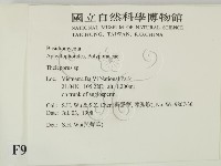登錄號:F0009019藏品圖，第2張