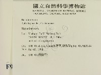 絲齒菌屬藏品圖，第2張