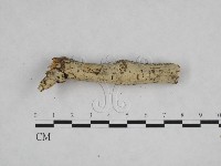 登錄號:F0009025藏品圖，第3張