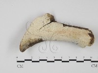 登錄號:F0009027藏品圖，第1張