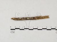 登錄號:F0009030藏品圖，第1張