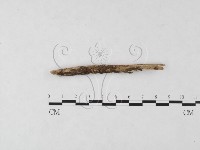 登錄號:F0009030藏品圖，第3張