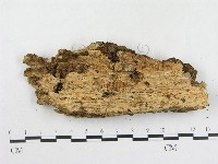 登錄號:F0009031藏品圖，第3張