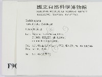 刺皮菌屬藏品圖，第2張