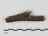 登錄號:F0009033藏品圖，第1張