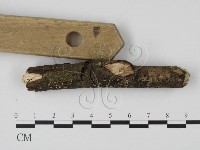 登錄號:F0009033藏品圖，第3張