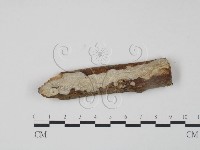登錄號:F0009035藏品圖，第1張