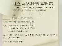 登錄號:F0009036藏品圖，第3張