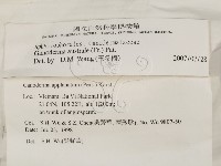 登錄號:F0009038藏品圖，第2張