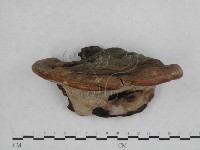 登錄號:F0009038藏品圖，第4張