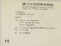 射脈菌屬藏品圖，第2張