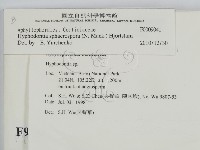 登錄號:F0009041藏品圖，第2張