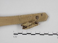 登錄號:F0009041藏品圖，第3張