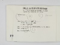 登錄號:F0009042藏品圖，第2張