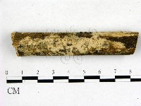 登錄號:F0009046藏品圖，第1張