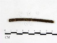 登錄號:F0009049藏品圖，第1張