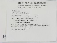 絲皮菌屬藏品圖，第2張