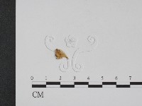 登錄號:F0009052藏品圖，第1張