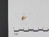 登錄號:F0009052藏品圖，第3張