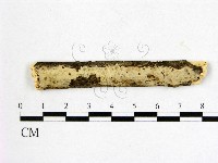 登錄號:F0009053藏品圖，第1張