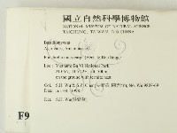 登錄號:F0009054藏品圖，第2張