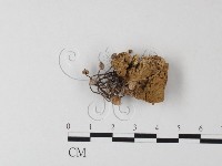 登錄號:F0009054藏品圖，第3張