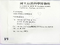 顯絲菌屬藏品圖，第2張