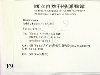 顯絲菌屬藏品圖，第2張