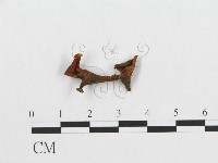 登錄號:F0009058藏品圖，第3張