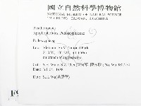 登錄號:F0009059藏品圖，第2張