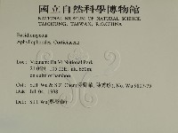 登錄號:F0009060藏品圖，第2張