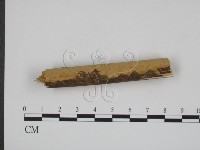 登錄號:F0009060藏品圖，第3張