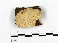 登錄號:F0009061藏品圖，第1張