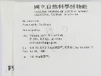 刺皮菌屬藏品圖，第2張