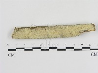 登錄號:F0009063藏品圖，第1張