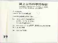 毛木耳藏品圖，第2張