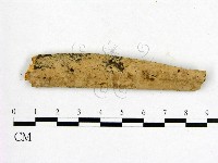 登錄號:F0009066藏品圖，第1張