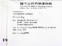 顯絲菌屬藏品圖，第2張