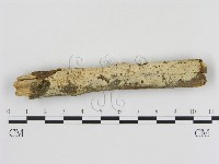 登錄號:F0009070藏品圖，第1張