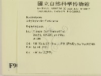 登錄號:F0009071藏品圖，第2張