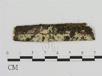 登錄號:F0009071藏品圖，第1張