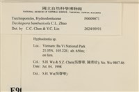 登錄號:F0009071藏品圖，第3張