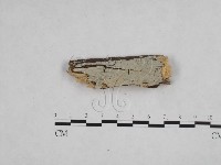 登錄號:F0009073藏品圖，第1張