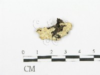 登錄號:F0009074藏品圖，第1張