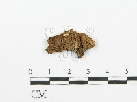 登錄號:F0009074藏品圖，第3張