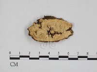 登錄號:F0009077藏品圖，第3張