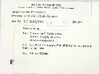 登錄號:F0009079藏品圖，第2張