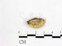 登錄號:F0009079藏品圖，第1張