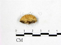 登錄號:F0009079藏品圖，第3張